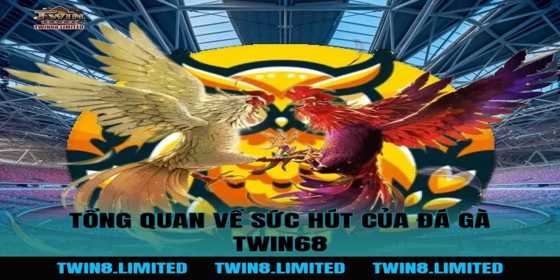 Tổng Quan Về Sức Hút Của Đá Gà TWIN68