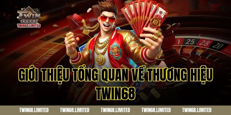 Giới Thiệu Tổng Quan Về Thương Hiệu TWIN68