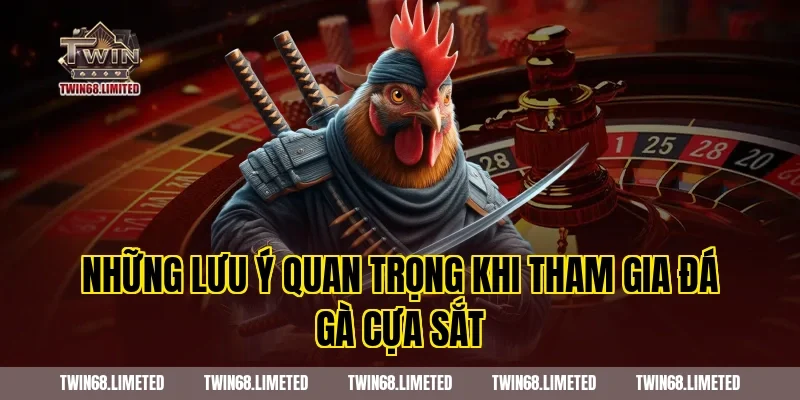 Những lưu ý quan trọng khi tham gia đá gà cựa sắt